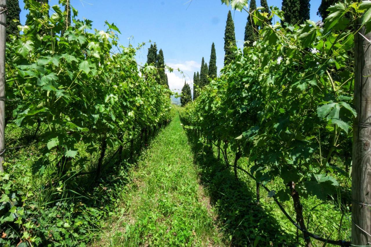 Villa Betteloni Valpolicella Suites 산피에트로인카리아노 외부 사진
