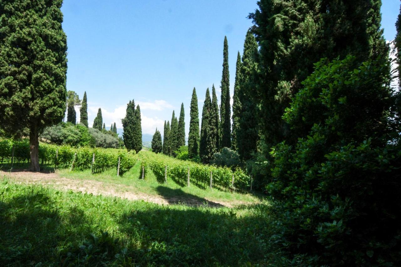 Villa Betteloni Valpolicella Suites 산피에트로인카리아노 외부 사진