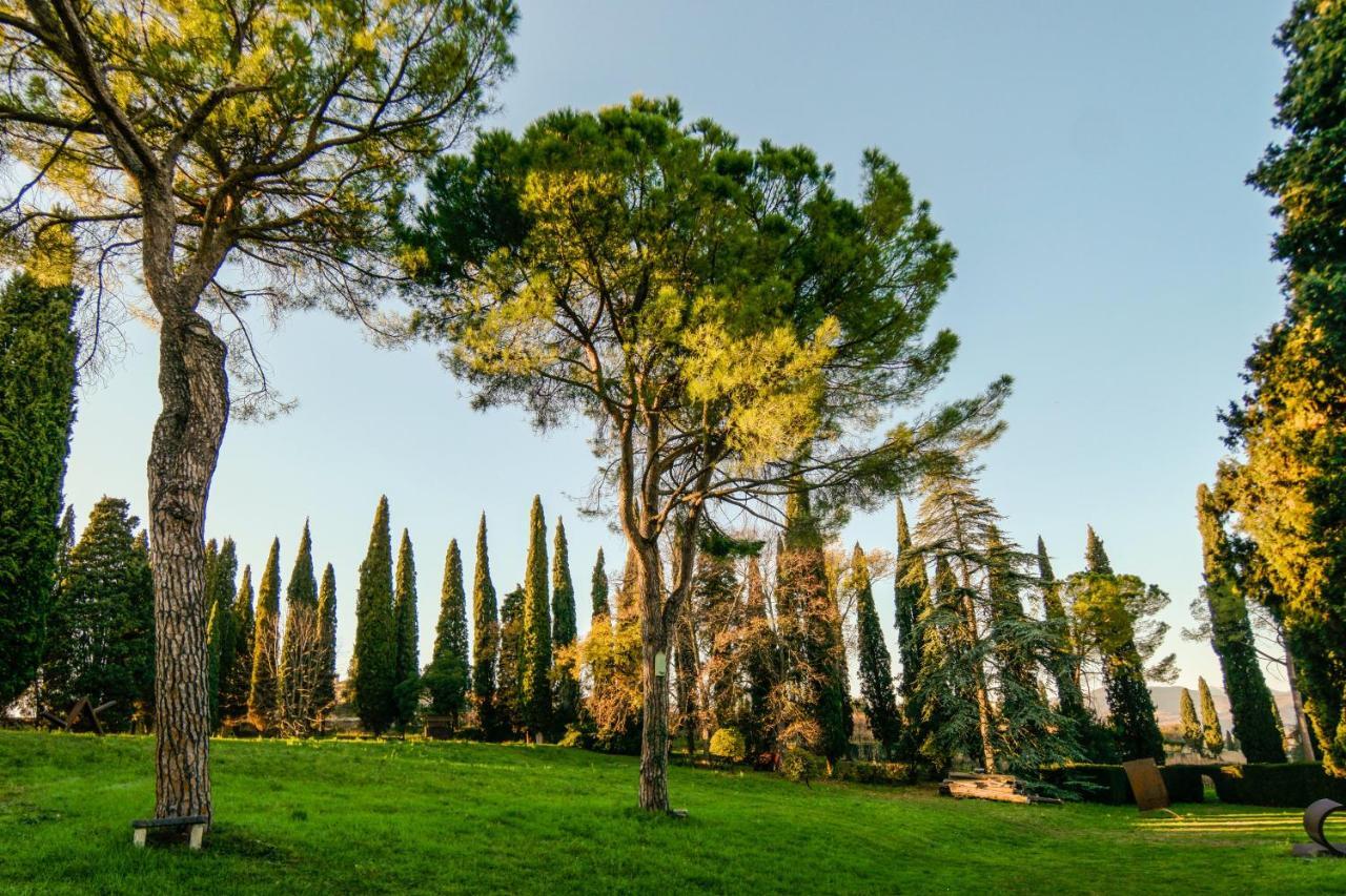Villa Betteloni Valpolicella Suites 산피에트로인카리아노 객실 사진